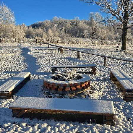 Casuta Din Stejari-Transalpina Villa Novaci-Străini Eksteriør bilde