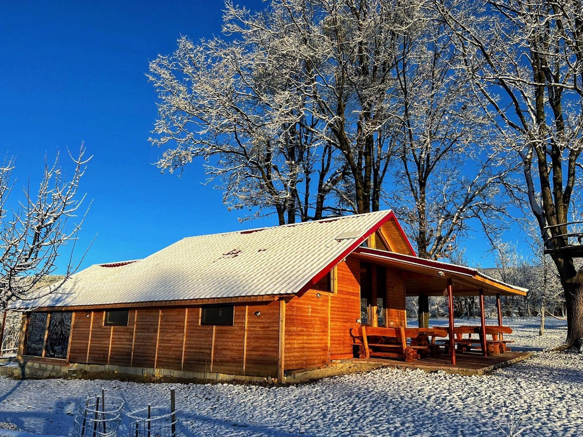 Casuta Din Stejari-Transalpina Villa Novaci-Străini Eksteriør bilde