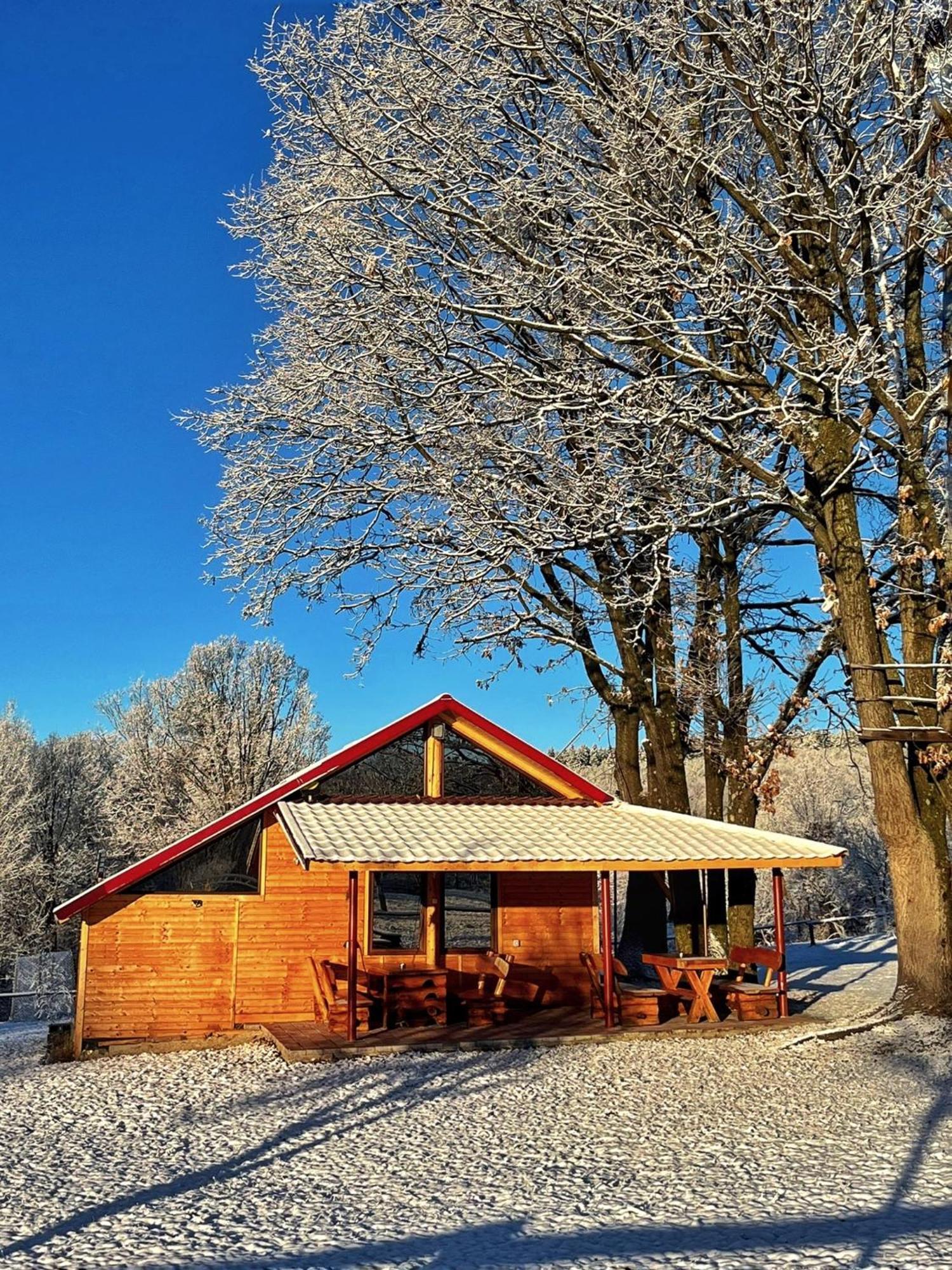 Casuta Din Stejari-Transalpina Villa Novaci-Străini Eksteriør bilde