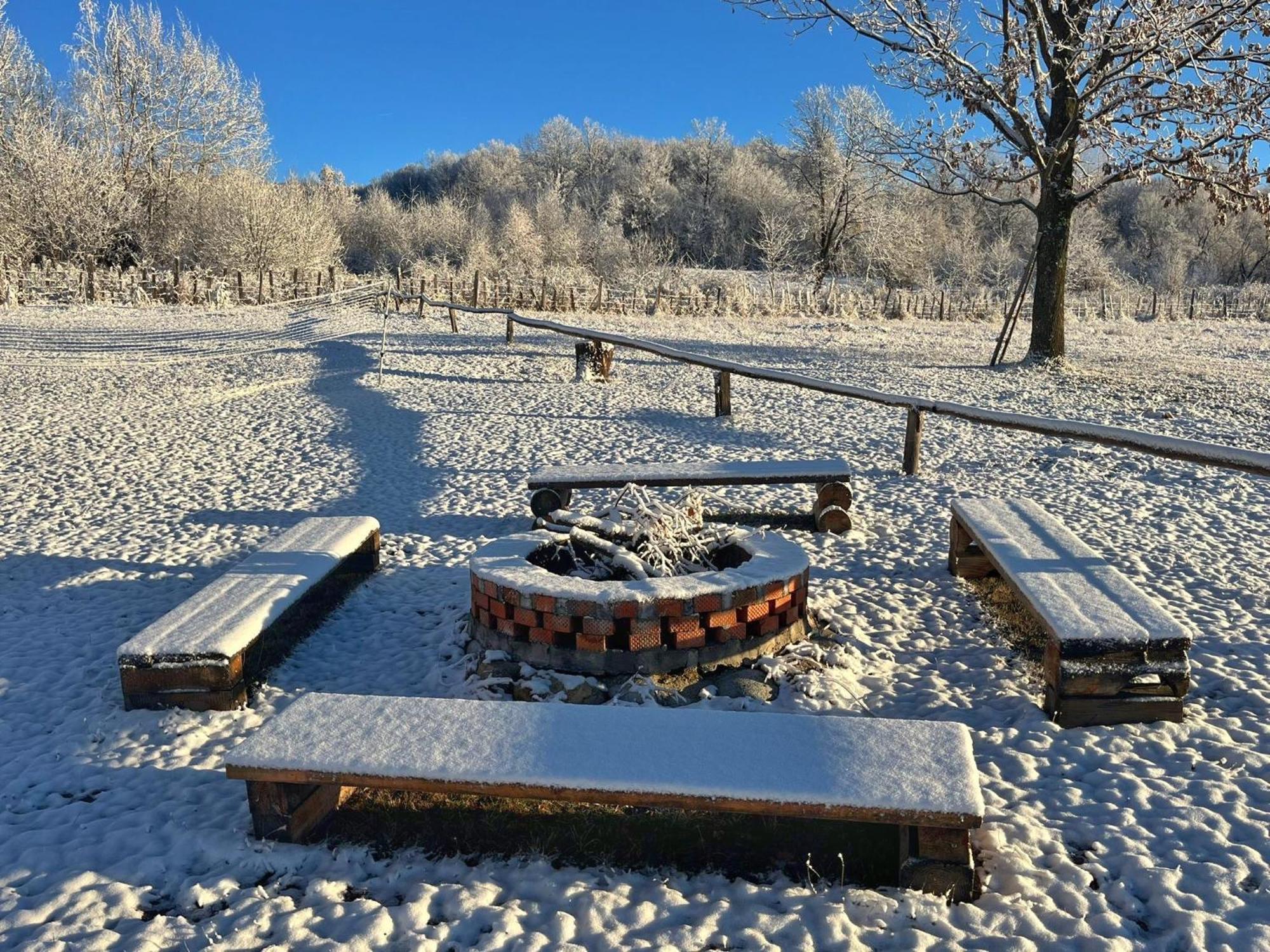 Casuta Din Stejari-Transalpina Villa Novaci-Străini Eksteriør bilde