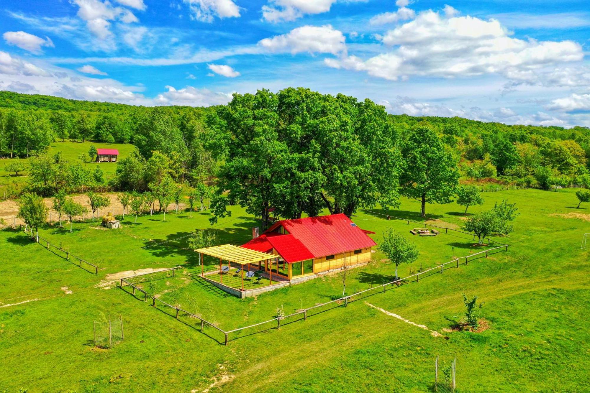 Casuta Din Stejari-Transalpina Villa Novaci-Străini Eksteriør bilde